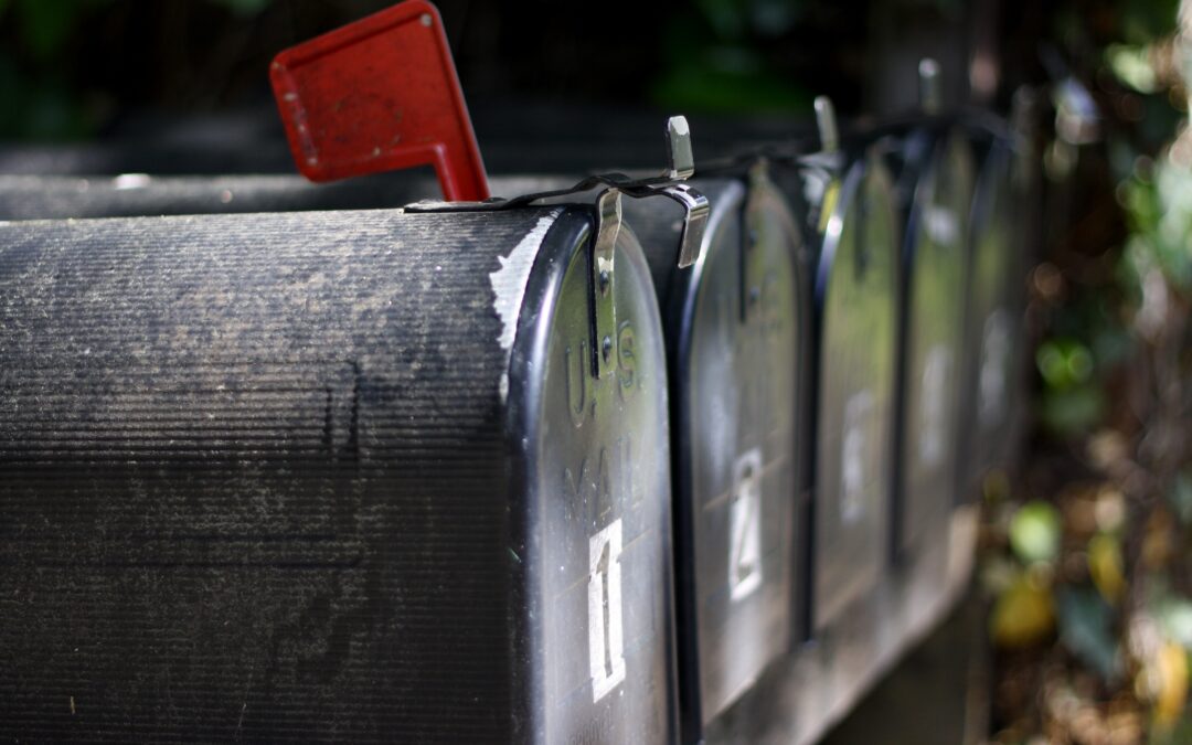 Der 6. und letzter Newsletter 25/26 ist da!
