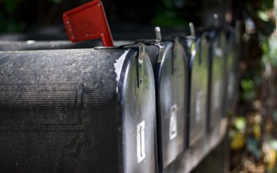 Der 6. und letzter Newsletter 25/26 ist da!